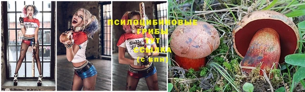 тгк Новозыбков