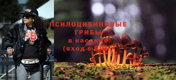 мдма Новодвинск